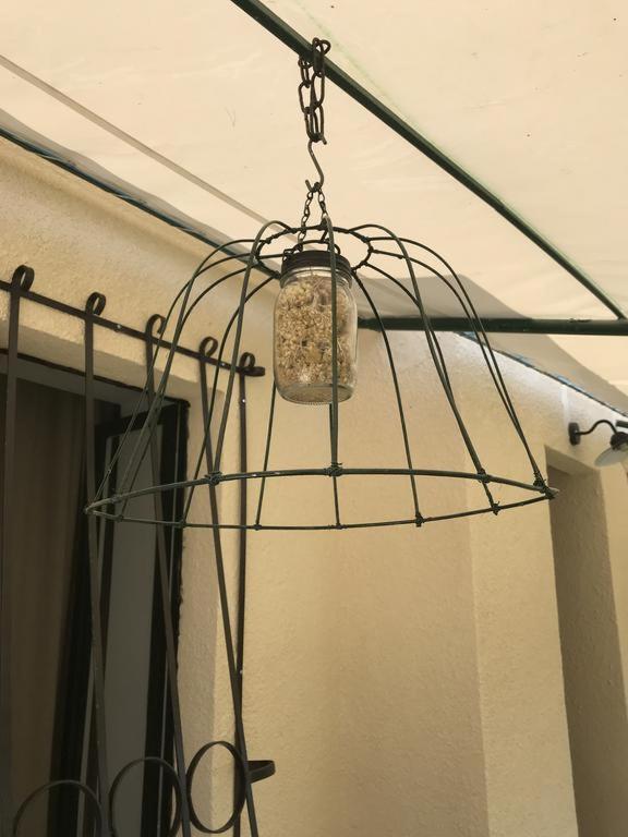 Depadansa Lisette Hotell Crikvenica Exteriör bild